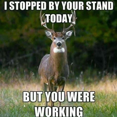 funny deer hunting memes